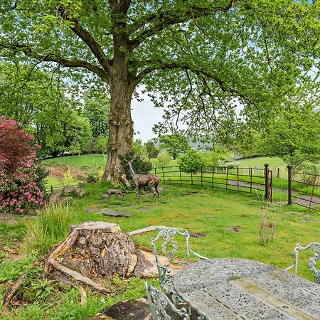3 Bed In 94925 Lakeside